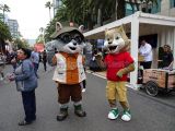IPW 2019 052.jpg